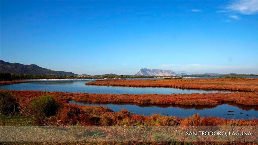 Bed & Breakfast Li Teggi Turismo Rurale San Teodoro (Sardinia)